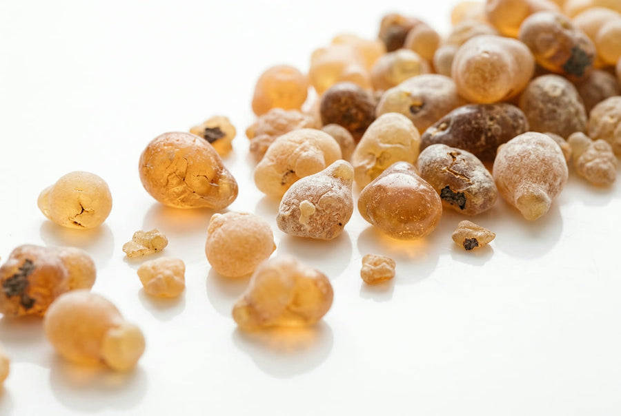 Boswellia Serrata Extract (Indian Frankincense)