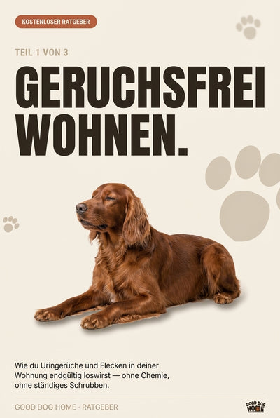 Der komplette Ratgeber (Teil 1–3) – Gratis