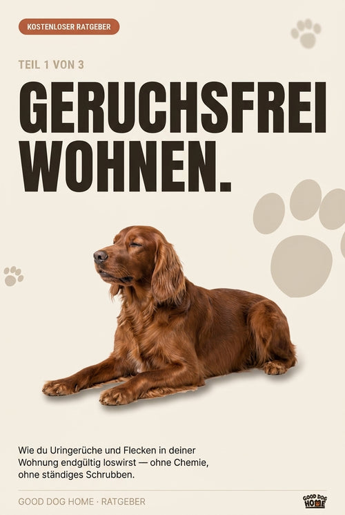 Der komplette Ratgeber (Teil 1–3) – Gratis