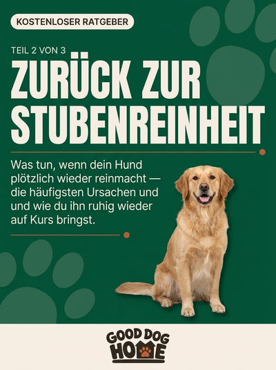 Der komplette Ratgeber (Teil 1–3) – Gratis