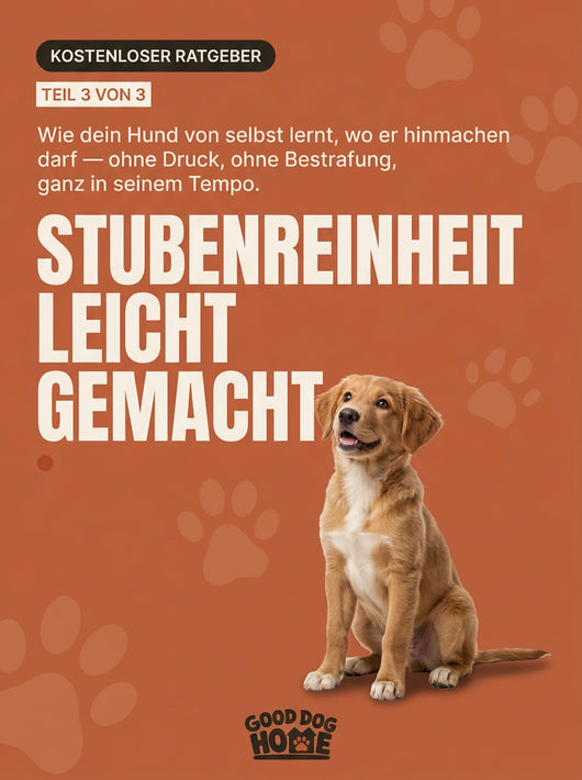 Der komplette Ratgeber (Teil 1–3) – Gratis