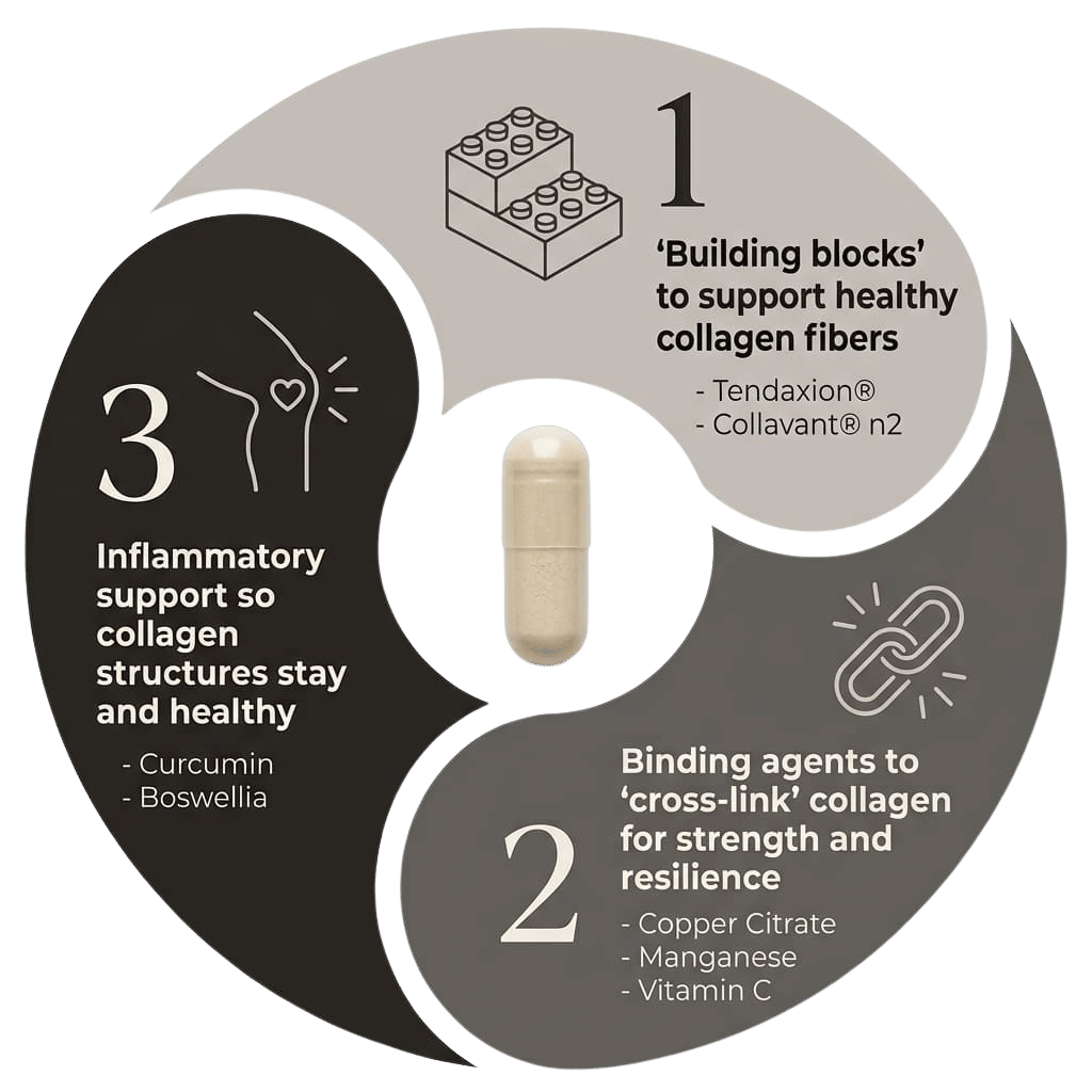 How does Collavita work?