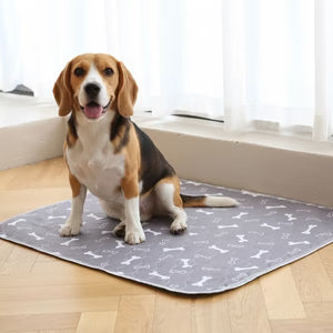 Good Dog Home DryPad