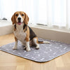 Good Dog Home DryPad