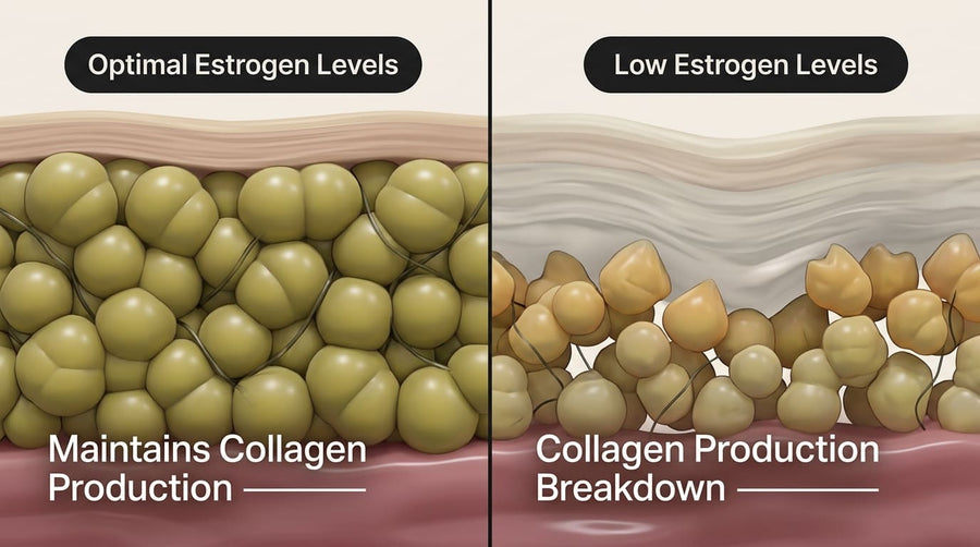 Low Collagen Production